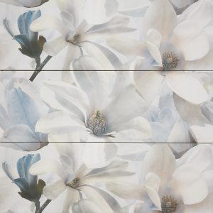 D-827 Dream Azul, 20×60
