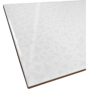 Barcelona White Kiiltävä 25×50