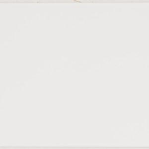 Harmony Blanco, 20×60