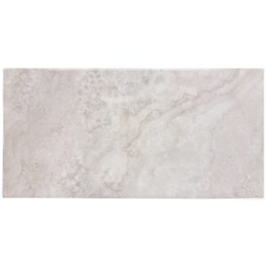 Hera light grey Kiiltävä 25×50