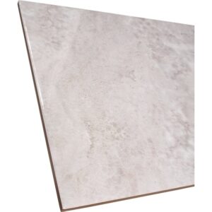 Hera light grey Kiiltävä 25×50