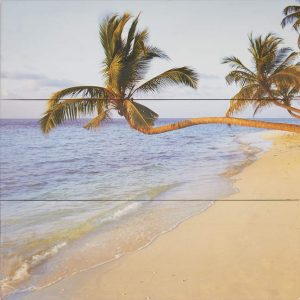 Palm beach