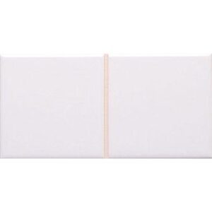 Pukkila vaaleaharmaa Kiiltävä 10×20