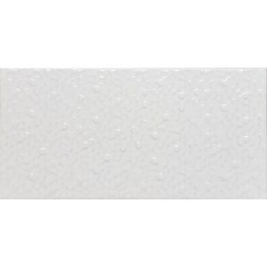 Hexa Gloss White 20×40