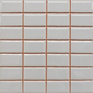 Mosaiikkilaatta Plata Liso Brillo 20×20