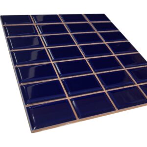 Cobalto Liso Brillo 20×20