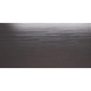 Seinälaatta Puolikiiltävä Reflex DG 30×60