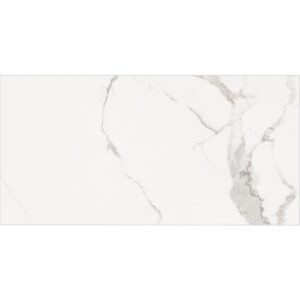 Versilia white 25×50