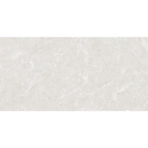 Azovana Silver Porcellanato Rektifioitu 60×120