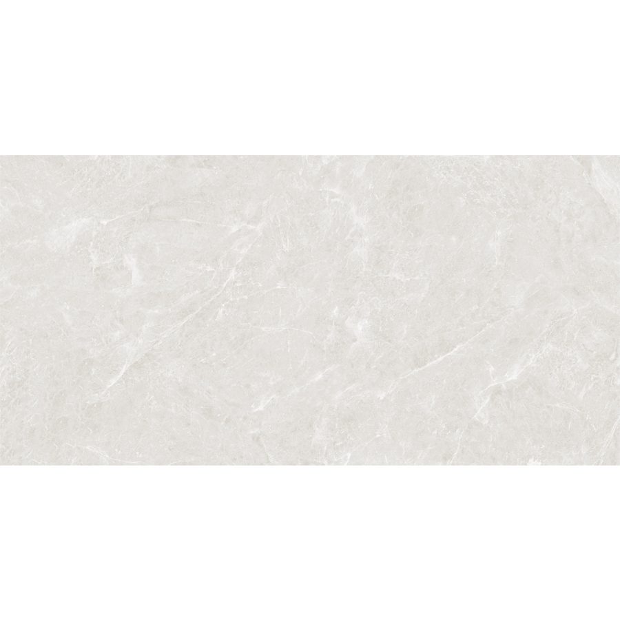 Azovana Silver Porcellanato Rektifioitu 60x120